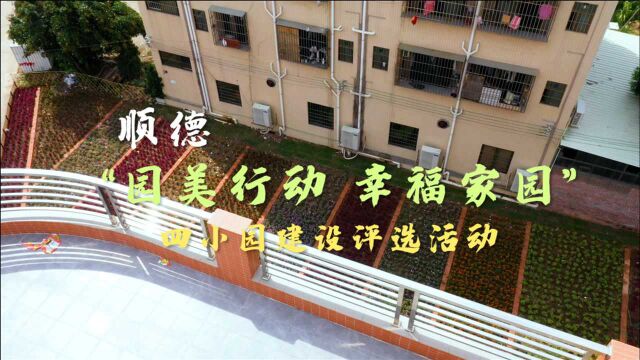 顺德“园美行动 幸福家园”四小园建设评选活动