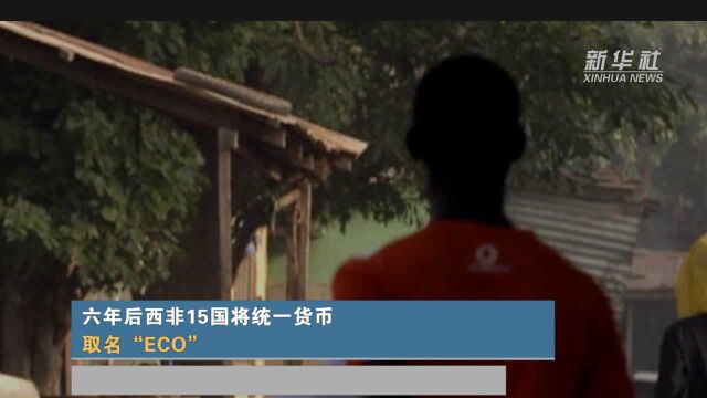 六年后西非15国将统一货币 取名ECO