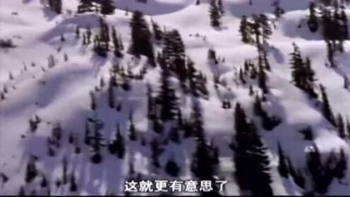 经典动作影片，押解犯人的飞机突发故障，坠落在茫茫无垠的雪原上