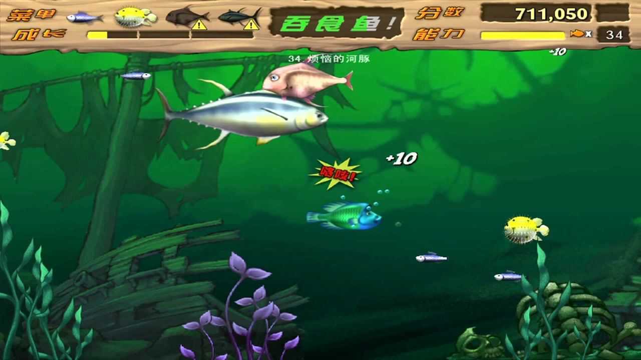 大魚吃小魚 鯉魚亨利6_騰訊視頻