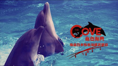 冒死拍出的纪录片，日本每年屠杀23000只海豚，还说这是“传统”