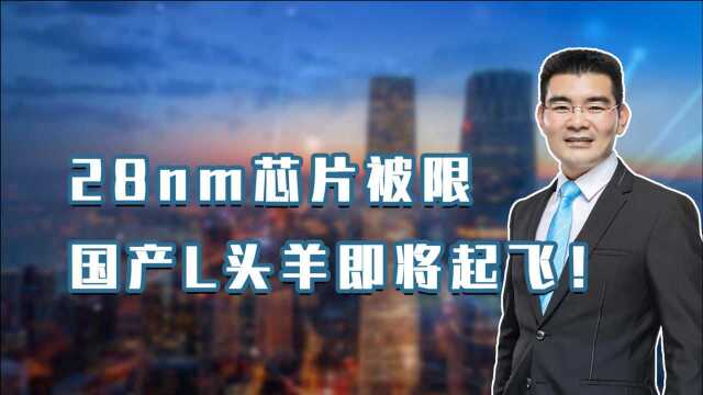 翻倍士兰微、露笑科技全都错过?那就别再错过这一家!