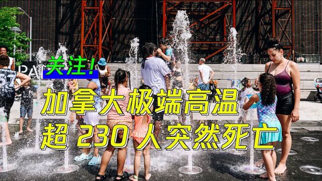 加拿大极端高温,25日至28日超230人突然死亡!