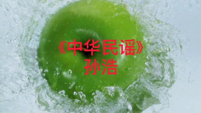 《中华民谣》——孙浩