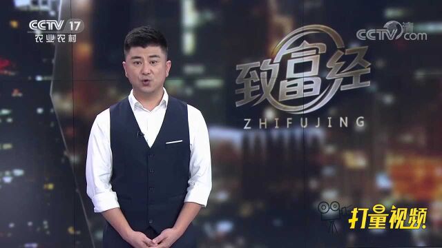 男子建立豆丹深加工中心,把豆丹肉做成罐头产品销往全国