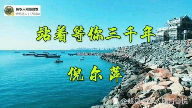 倪尔萍演唱《站着等你三千年》,磁性嗓音凄美动听,唱出衷贞不渝的爱情故事