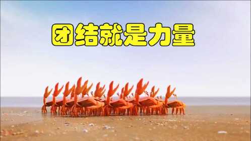 人多力量大再弱小的个体组合起来也是一一股强大的力量不信你看这个
