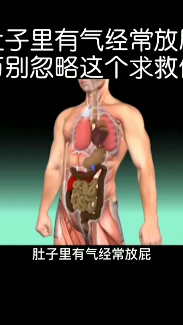 肚子里有气经常放屁 千万别忽视_腾讯视频