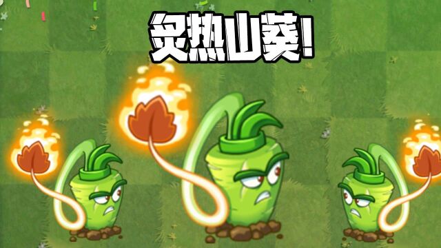 植物大战僵尸:炙热山葵!pvz的近战之王?