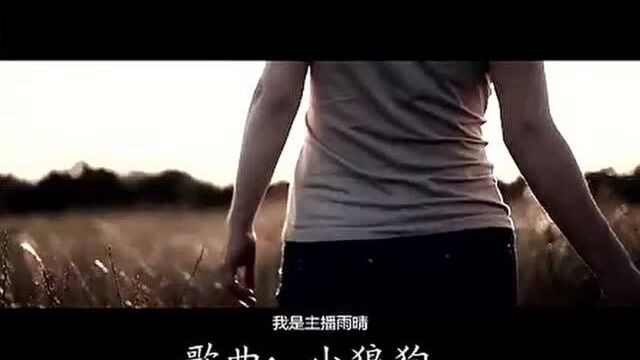 宋小金小狼狗.mp4