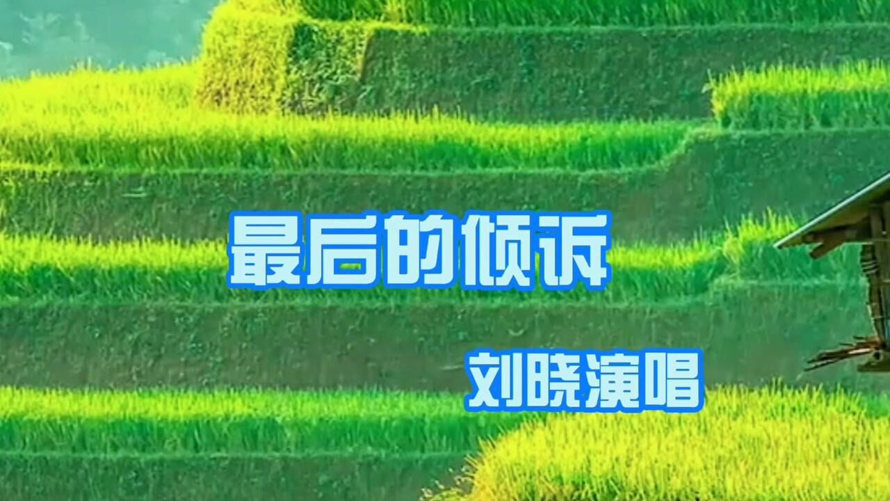 最后的倾诉刘晓版图片