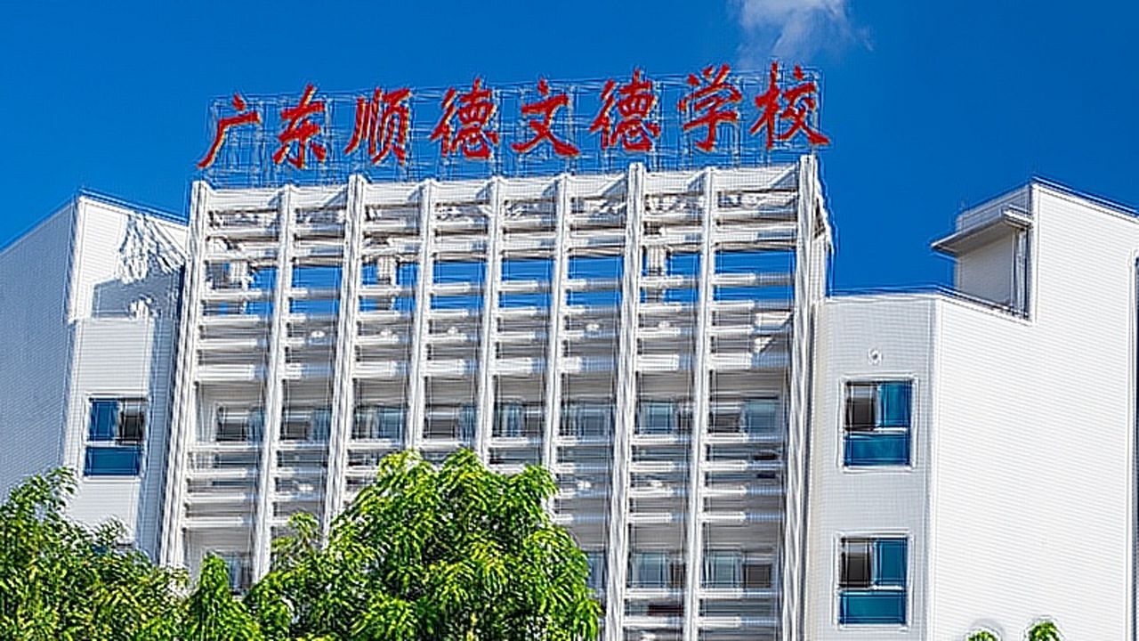 广东顺德文德学校宣传片