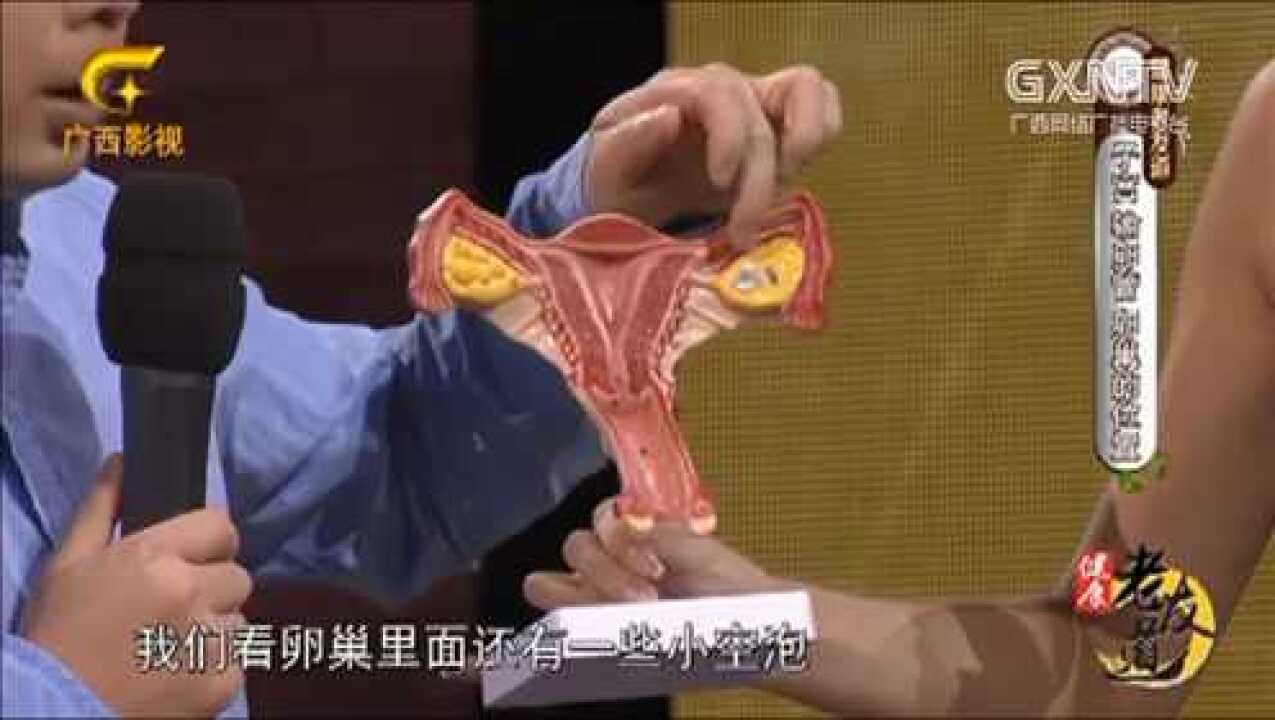 专家带你正面认识女性的生殖器官，看完之后长知识了！_腾讯视频