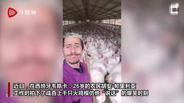 一呼百应!西班牙一农民分享养殖场数百只火鸡模仿自己“说话”