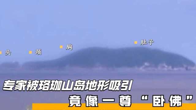 专家被珞珈山岛地形吸引,竟像一尊“卧佛”