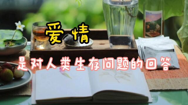 美国心理学家弗洛姆说:爱情是对人类生存问题的回答