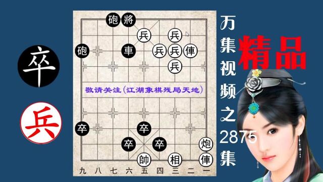 2875莲花争霸