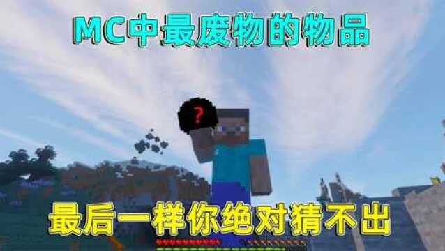 我的世界:MC中最没用的物品,毒马铃薯排第一,最后一样猜不到!