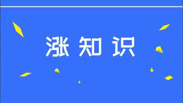 税务机关核查股东借款且未用于经营后,怎么办?