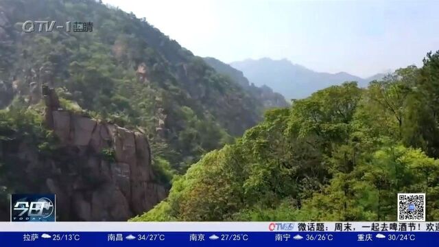 青岛:避暑胜地!雨后九水美如画,崂山景区迎客流高峰