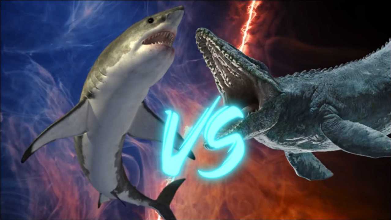 如果巨齿鲨和沧龙决斗谁会赢?