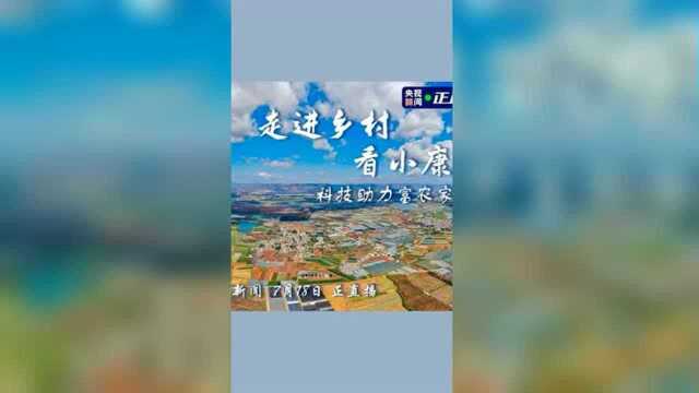 走进乡村看小康 | 科技助力富农家