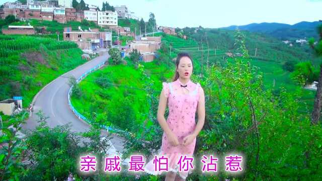 云南山歌《有苦还能向谁提》演唱:张艳