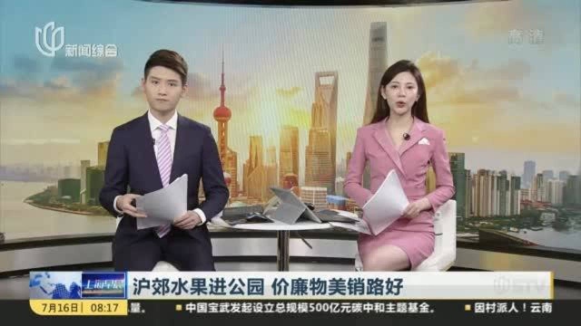 沪郊水果进公园 价廉物美销路好