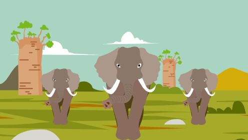 体型最大的大象是什么象#知识π计划-知识抢先知#
