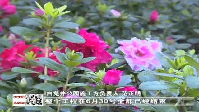 环湖绿道白兔井公园建成投用,自行车道直达黄石高铁站!