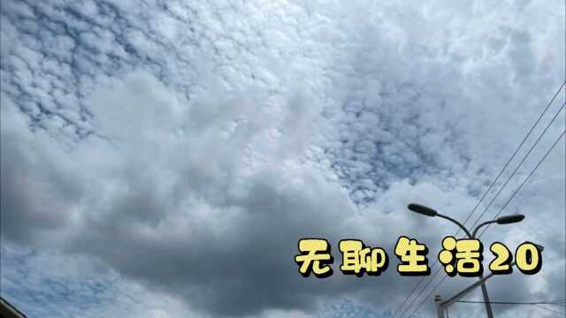 我的无聊生活20