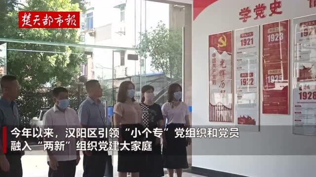 融合赋能优服务,党建引领促发展——武汉市汉阳区首个“小个专”综合党委成立