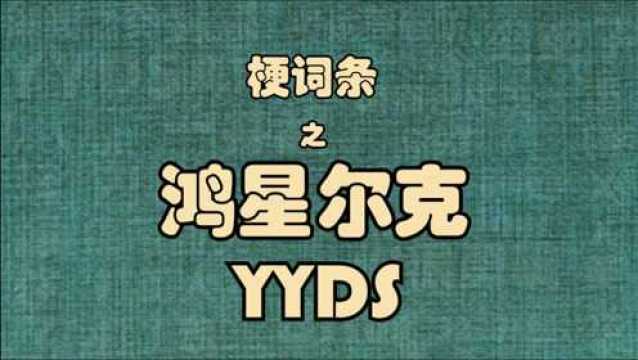 梗词条之鸿星尔克yyds