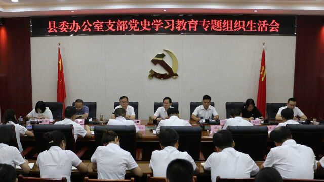 县委办公室支部召开党史学习教育专题组织生活会