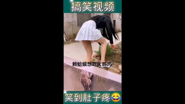 哈啊哈啊哈