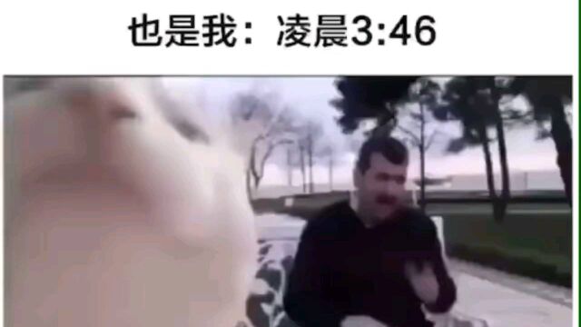 搞笑视频:没什么,就是想让你们听听,异域风情的甩葱歌,