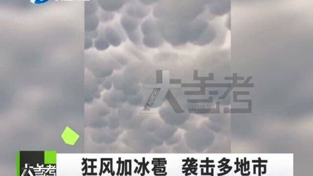 河南多地遭遇强对流天气,暴雨倾盆,大风刮倒大树