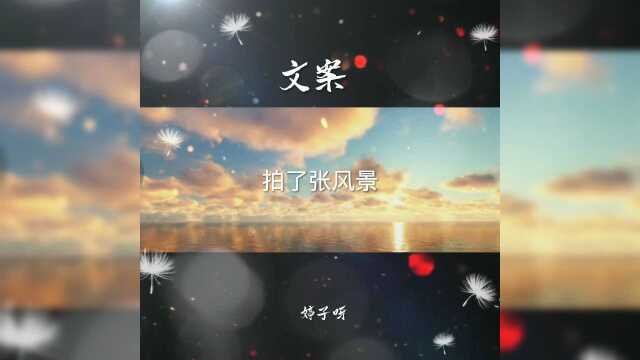 语录——文案