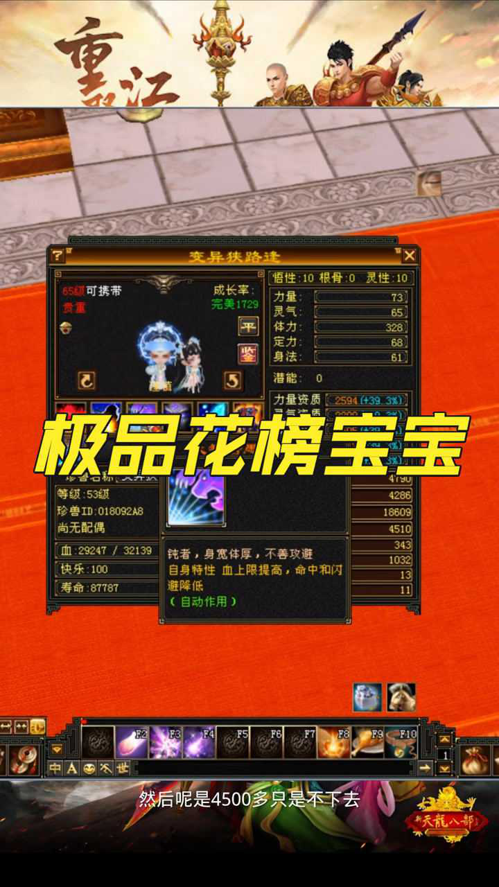 天龙八部怀旧服极品花榜宝宝