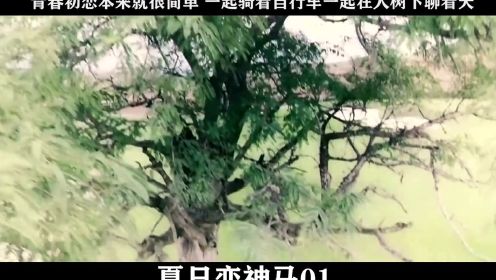 夏日恋神马-01，青春初恋本来就很简单 一起骑着自行车一起在大树下聊着天
