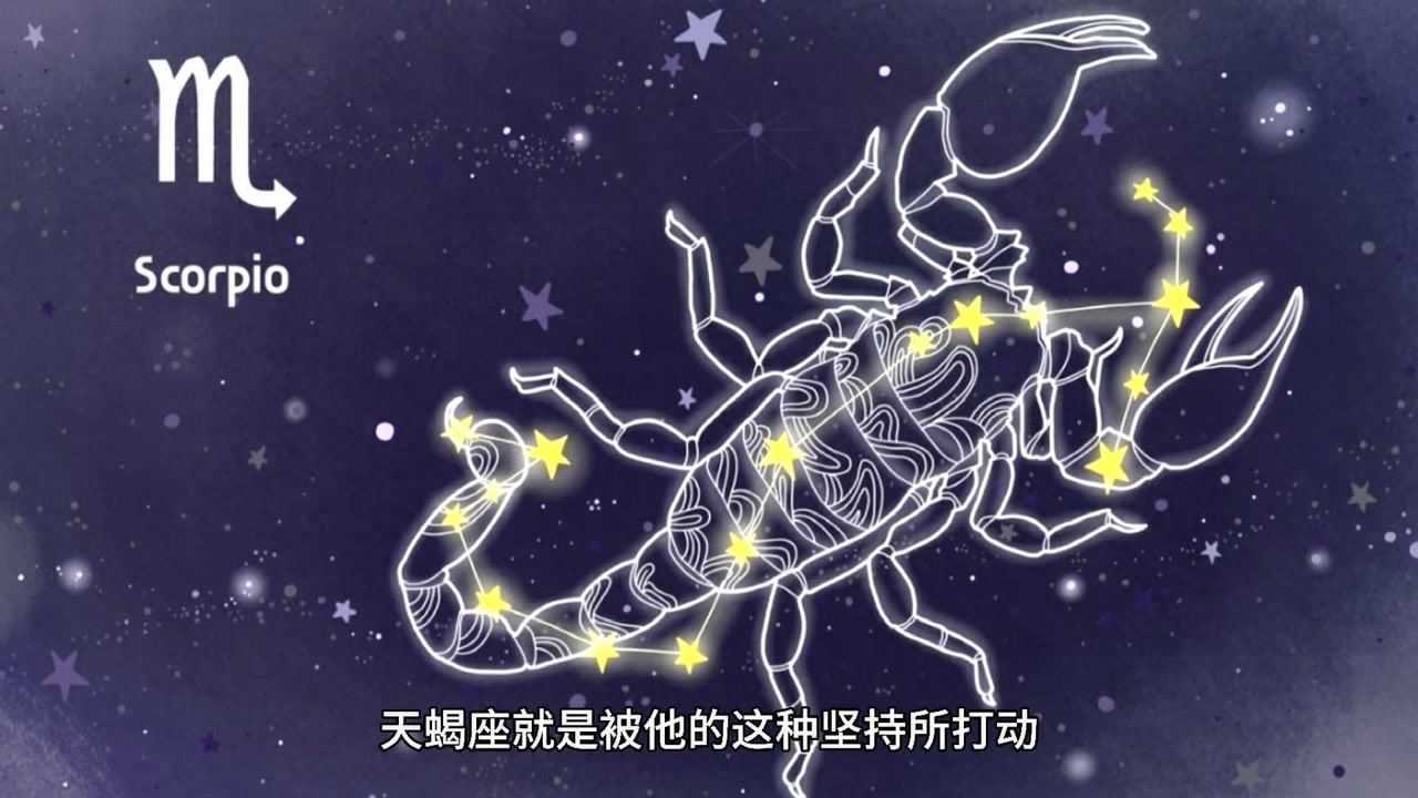 在一起最幸福的星座配对腾讯视频