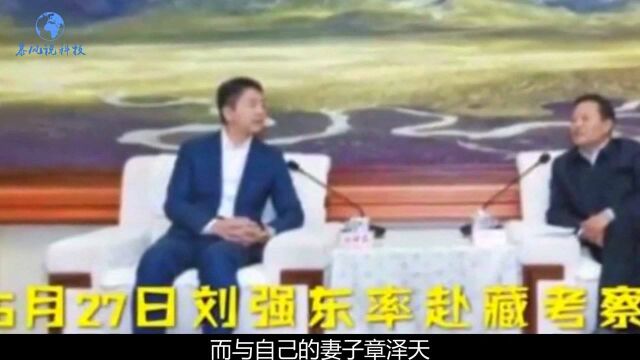 刘强东“消失”八个月:与妻分家裁撤兄弟,称若再亏损两年就破产