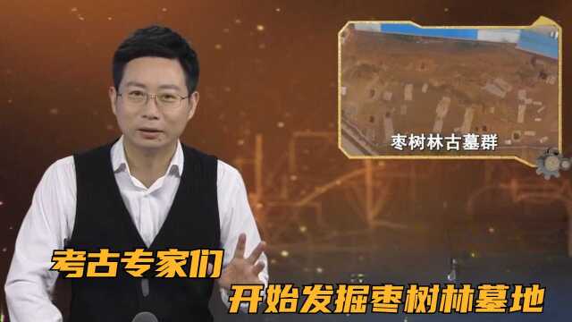 考古专家们开始发掘枣树林墓地,并制定发掘计划