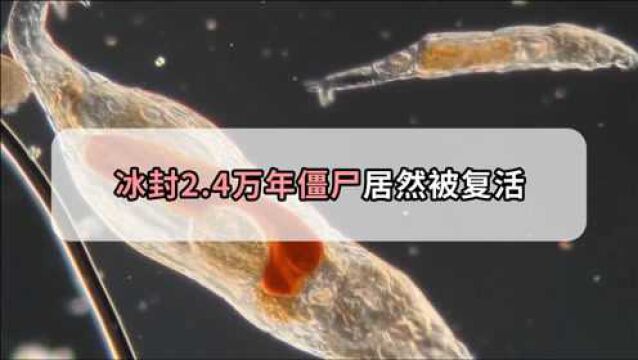 科学家找到复活冷冻人的秘密?2.4万年前的生物解冻后,成功复活