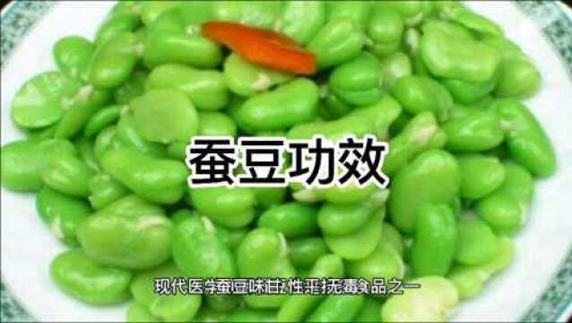 饮食健康,蚕豆你不知道的功效