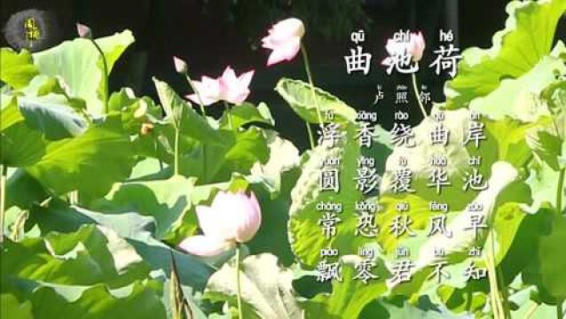 诗三百诵读版 曲池荷 卢照邻 常恐秋风早 飘零君不知