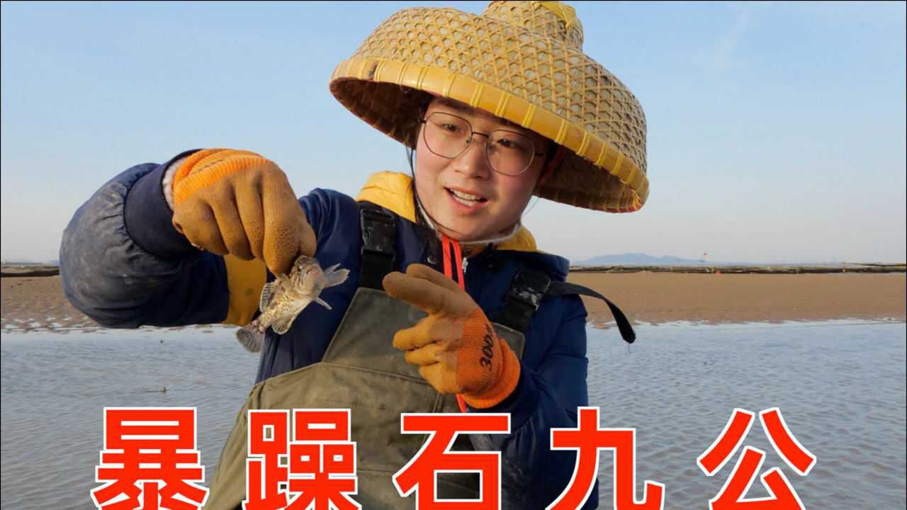 大梅退潮后赶海暴躁石九公被鱼群抛弃大梅抓回家准备放鱼缸