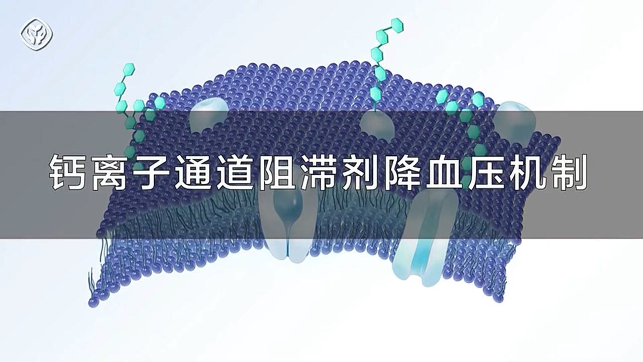 113.钙离子通道阻滞剂降血压机制_腾讯视频