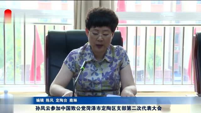 孙凤云参加中国致公党菏泽市定陶区支部第二次代表大会