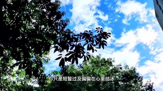 顽疾 歌手:小乐哥